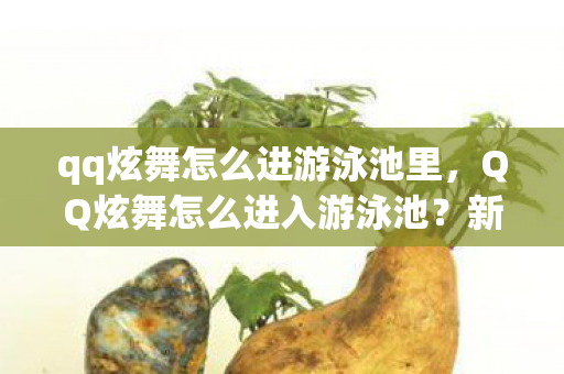 qq炫舞怎么进游泳池里，QQ炫舞怎么进入游泳池？新手必看的泳池攻略！