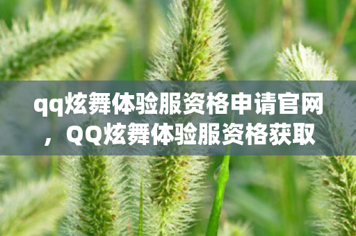 qq炫舞体验服资格申请官网，QQ炫舞体验服资格获取攻略