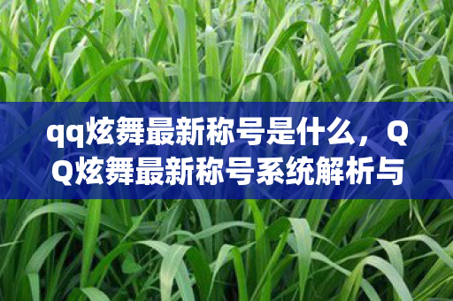 qq炫舞最新称号是什么，QQ炫舞最新称号系统解析与攻略