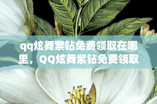 qq炫舞紫钻免费领取在哪里,QQ炫舞紫钻免费领取全攻略,省钱玩家的福音 qq炫舞紫钻免费领取在哪里,QQ炫舞紫钻免费领取全攻略,省钱玩家的福音