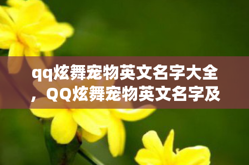 qq炫舞宠物英文名字大全,QQ炫舞宠物英文名字及其魅力 qq炫舞宠物英文名字大全,QQ炫舞宠物英文名字及其魅力