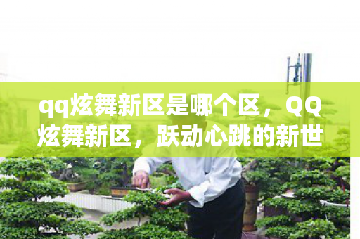 qq炫舞新区是哪个区,QQ炫舞新区,跃动心跳的新世界,舞者的梦幻乐园 qq炫舞新区是哪个区,QQ炫舞新区,跃动心跳的新世界,舞者的梦幻乐园