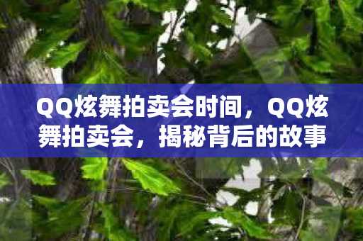 QQ炫舞拍卖会时间，QQ炫舞拍卖会，揭秘背后的故事与魅力所在