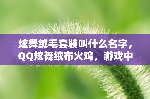 炫舞绒毛套装叫什么名字,QQ炫舞绒布火鸡,游戏中的神秘宝藏探寻 炫舞绒毛套装叫什么名字,QQ炫舞绒布火鸡,游戏中的神秘宝藏探寻