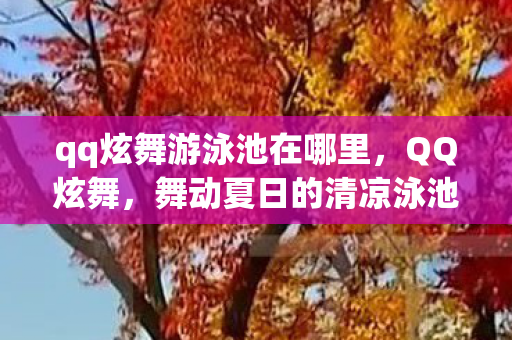 qq炫舞游泳池在哪里，QQ炫舞，舞动夏日的清凉泳池派对