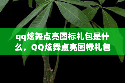 qq炫舞点亮图标礼包是什么,QQ炫舞点亮图标礼包,游戏内外的惊喜福利 qq炫舞点亮图标礼包是什么,QQ炫舞点亮图标礼包,游戏内外的惊喜福利