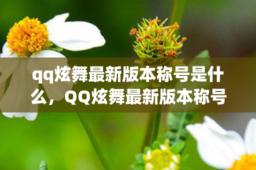 qq炫舞最新版本称号是什么,QQ炫舞最新版本称号系统解析与攻略 qq炫舞最新版本称号是什么,QQ炫舞最新版本称号系统解析与攻略
