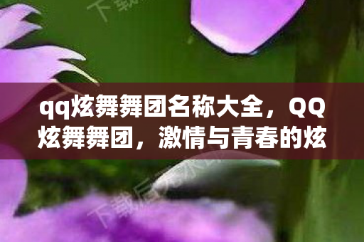 qq炫舞舞团名称大全,QQ炫舞舞团,激情与青春的炫丽舞台 qq炫舞舞团名称大全,QQ炫舞舞团,激情与青春的炫丽舞台