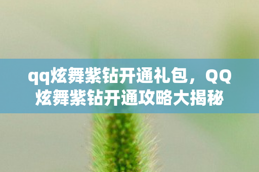 qq炫舞紫钻开通礼包,QQ炫舞紫钻开通攻略大揭秘 qq炫舞紫钻开通礼包,QQ炫舞紫钻开通攻略大揭秘