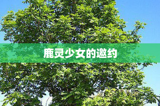 鹿灵少女的邀约 鹿灵少女的邀约