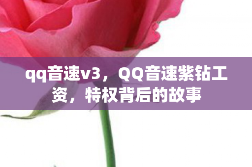 qq音速v3,QQ音速紫钻工资,特权背后的故事 qq音速v3,QQ音速紫钻工资,特权背后的故事