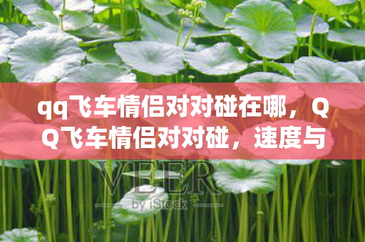 qq飞车情侣对对碰在哪,QQ飞车情侣对对碰,速度与爱情的完美交融 qq飞车情侣对对碰在哪,QQ飞车情侣对对碰,速度与爱情的完美交融