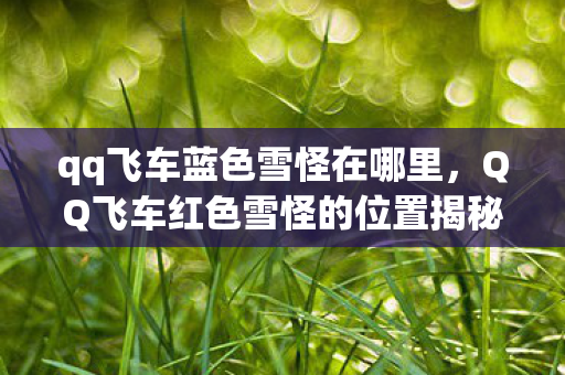 qq飞车蓝色雪怪在哪里,QQ飞车红色雪怪的位置揭秘 qq飞车蓝色雪怪在哪里,QQ飞车红色雪怪的位置揭秘