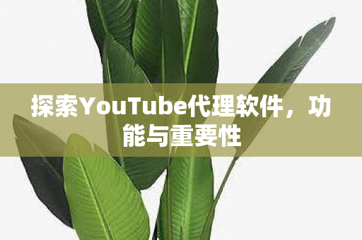 探索YouTube代理软件，功能与重要性