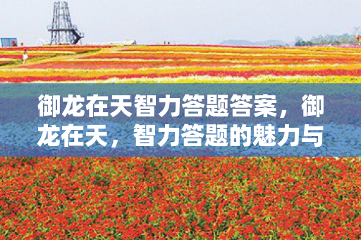 御龙在天智力答题答案,御龙在天,智力答题的魅力与挑战 御龙在天智力答题答案,御龙在天,智力答题的魅力与挑战