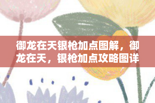 御龙在天银枪加点图解，御龙在天，银枪加点攻略图详解