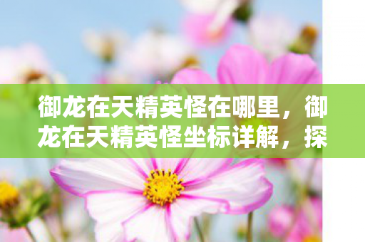御龙在天精英怪在哪里,御龙在天精英怪坐标详解,探寻游戏中的秘密宝藏 御龙在天精英怪在哪里,御龙在天精英怪坐标详解,探寻游戏中的秘密宝藏