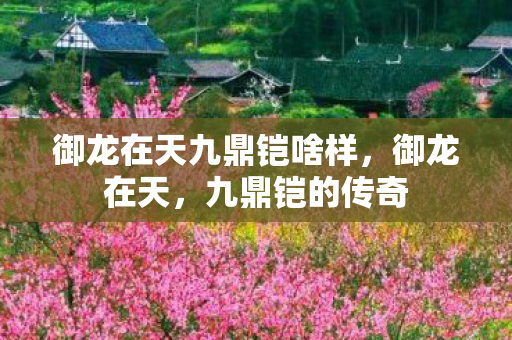 御龙在天九鼎铠啥样,御龙在天,九鼎铠的传奇 御龙在天九鼎铠啥样,御龙在天,九鼎铠的传奇