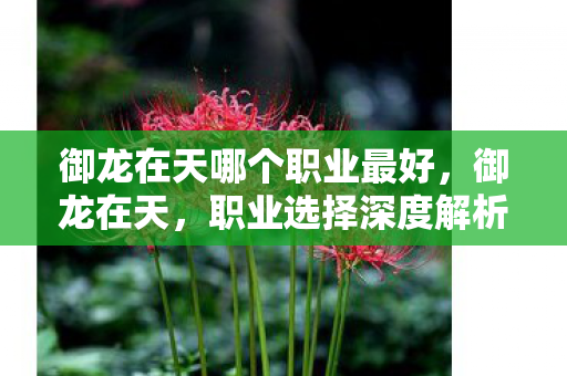 御龙在天哪个职业最好,御龙在天,职业选择深度解析,哪个职业更适合你? 御龙在天哪个职业最好,御龙在天,职业选择深度解析,哪个职业更适合你?