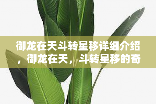 御龙在天斗转星移详细介绍,御龙在天,斗转星移的奇幻之旅 御龙在天斗转星移详细介绍,御龙在天,斗转星移的奇幻之旅