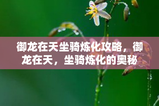 御龙在天坐骑炼化攻略,御龙在天,坐骑炼化的奥秘 御龙在天坐骑炼化攻略,御龙在天,坐骑炼化的奥秘