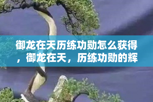 御龙在天历练功勋怎么获得,御龙在天,历练功勋的辉煌之路 御龙在天历练功勋怎么获得,御龙在天,历练功勋的辉煌之路