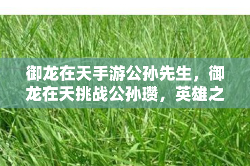 御龙在天手游公孙先生,御龙在天挑战公孙瓒,英雄之路的试炼 御龙在天手游公孙先生,御龙在天挑战公孙瓒,英雄之路的试炼