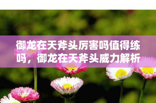 御龙在天斧头厉害吗值得练吗,御龙在天斧头威力解析 御龙在天斧头厉害吗值得练吗,御龙在天斧头威力解析
