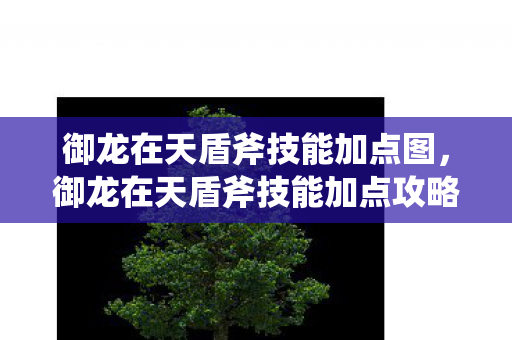 御龙在天盾斧技能加点图，御龙在天盾斧技能加点攻略，打造无敌战士的必备指南