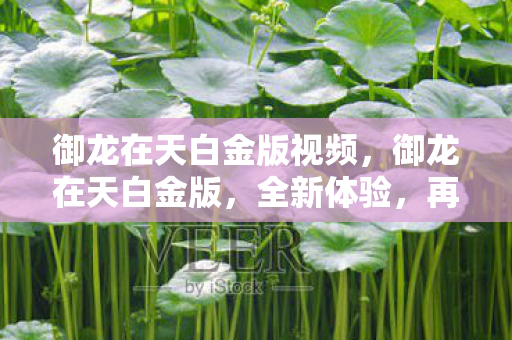 御龙在天白金版视频，御龙在天白金版，全新体验，再战江湖！