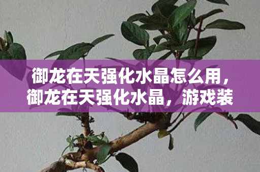 御龙在天强化水晶怎么用,御龙在天强化水晶,游戏装备进阶的神秘力量 御龙在天强化水晶怎么用,御龙在天强化水晶,游戏装备进阶的神秘力量