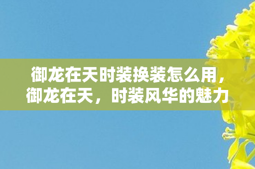 御龙在天时装换装怎么用,御龙在天,时装风华的魅力与故事 御龙在天时装换装怎么用,御龙在天,时装风华的魅力与故事