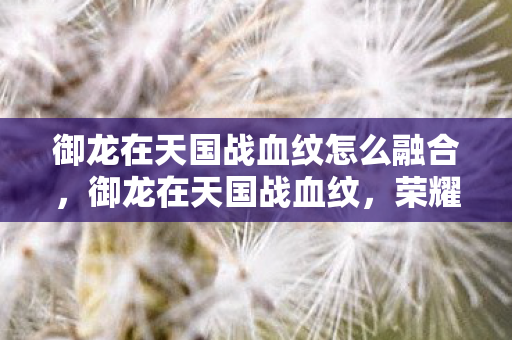 御龙在天国战血纹怎么融合,御龙在天国战血纹,荣耀与传奇的交织 御龙在天国战血纹怎么融合,御龙在天国战血纹,荣耀与传奇的交织