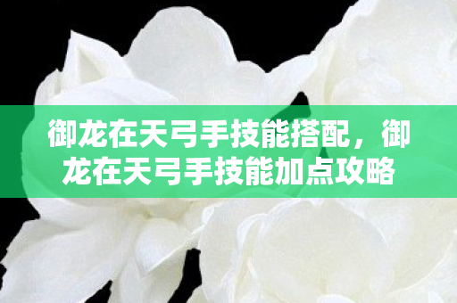 御龙在天弓手技能搭配,御龙在天弓手技能加点攻略 御龙在天弓手技能搭配,御龙在天弓手技能加点攻略