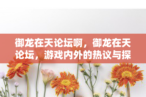 御龙在天论坛啊,御龙在天论坛,游戏内外的热议与探索 御龙在天论坛啊,御龙在天论坛,游戏内外的热议与探索