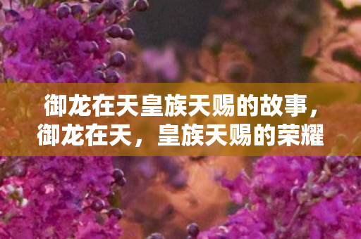 御龙在天皇族天赐的故事,御龙在天,皇族天赐的荣耀与传奇 御龙在天皇族天赐的故事,御龙在天,皇族天赐的荣耀与传奇