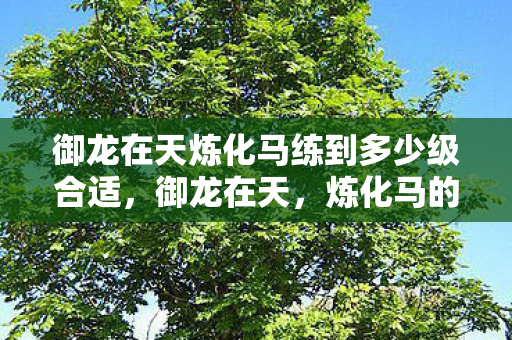 御龙在天炼化马练到多少级合适,御龙在天,炼化马的奥秘 御龙在天炼化马练到多少级合适,御龙在天,炼化马的奥秘