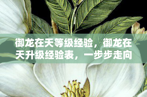 御龙在天等级经验,御龙在天升级经验表,一步步走向巅峰的征途 御龙在天等级经验,御龙在天升级经验表,一步步走向巅峰的征途