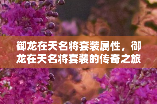 御龙在天名将套装属性,御龙在天名将套装的传奇之旅 御龙在天名将套装属性,御龙在天名将套装的传奇之旅