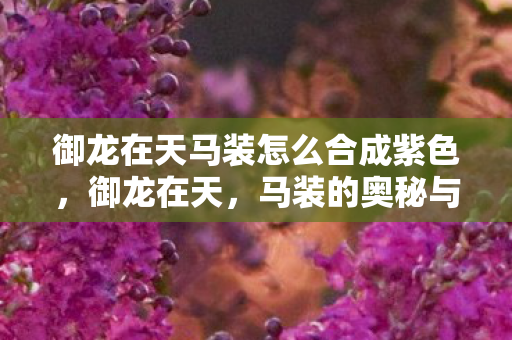 御龙在天马装怎么合成紫色,御龙在天,马装的奥秘与魅力 御龙在天马装怎么合成紫色,御龙在天,马装的奥秘与魅力