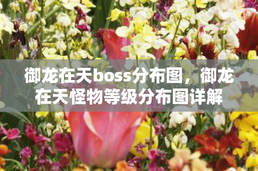 御龙在天boss分布图,御龙在天怪物等级分布图详解 御龙在天boss分布图,御龙在天怪物等级分布图详解