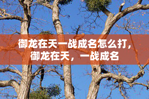 御龙在天一战成名怎么打，御龙在天，一战成名