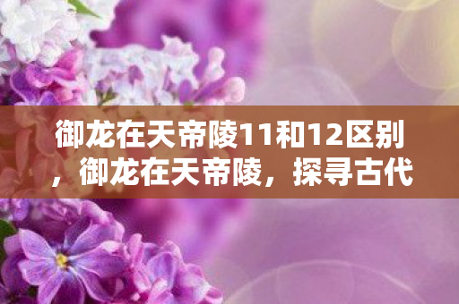 御龙在天帝陵11和12区别，御龙在天帝陵，探寻古代皇陵的神秘面纱