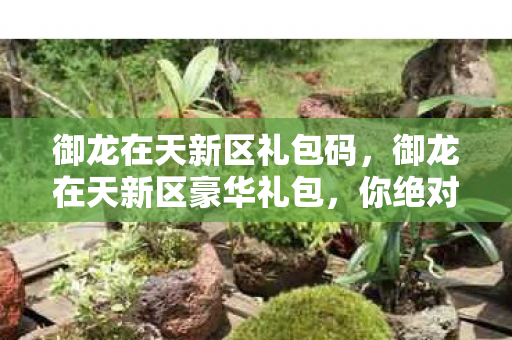 御龙在天新区礼包码,御龙在天新区豪华礼包,你绝对不能错过! 御龙在天新区礼包码,御龙在天新区豪华礼包,你绝对不能错过!