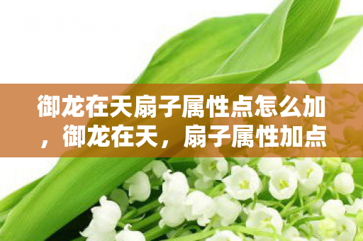 御龙在天扇子属性点怎么加，御龙在天，扇子属性加点攻略