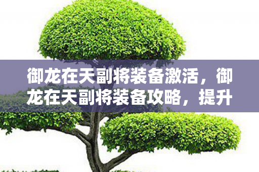 御龙在天副将装备激活,御龙在天副将装备攻略,提升战斗力的关键所在 御龙在天副将装备激活,御龙在天副将装备攻略,提升战斗力的关键所在