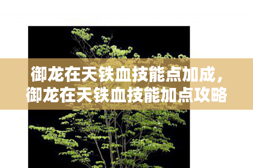 御龙在天铁血技能点加成,御龙在天铁血技能加点攻略,打造无敌战士 御龙在天铁血技能点加成,御龙在天铁血技能加点攻略,打造无敌战士