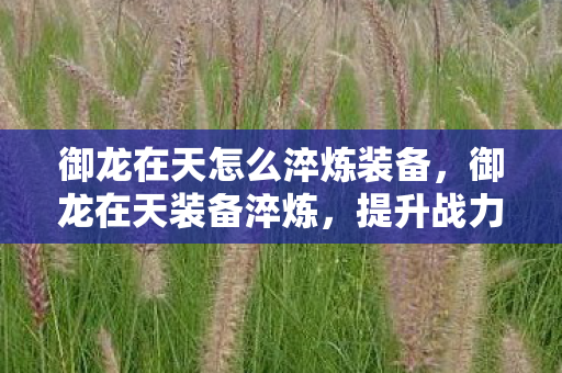 御龙在天怎么淬炼装备,御龙在天装备淬炼,提升战力,称霸全服的关键秘诀 御龙在天怎么淬炼装备,御龙在天装备淬炼,提升战力,称霸全服的关键秘诀