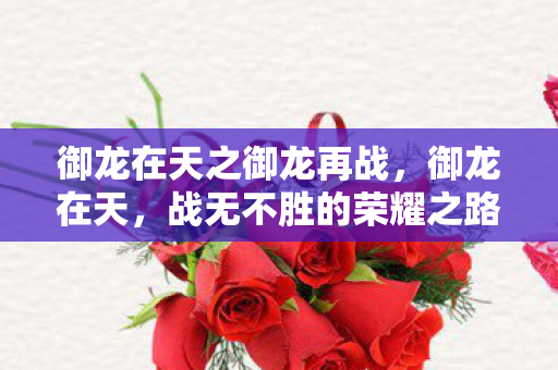 御龙在天之御龙再战,御龙在天,战无不胜的荣耀之路 御龙在天之御龙再战,御龙在天,战无不胜的荣耀之路