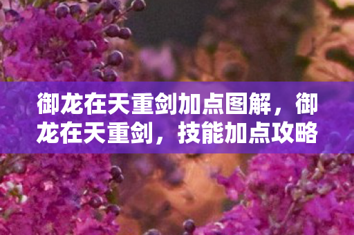 御龙在天重剑加点图解,御龙在天重剑,技能加点攻略与实战解析 御龙在天重剑加点图解,御龙在天重剑,技能加点攻略与实战解析